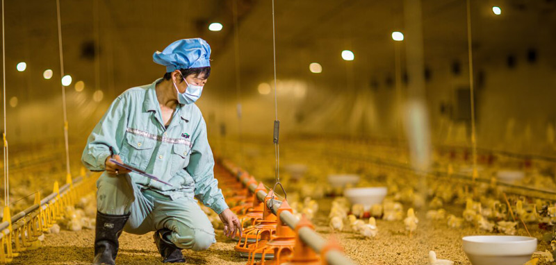 Cargill Japan
